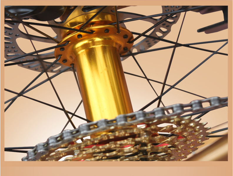 Private Label OEM 1000W 29 Inch Electric Mountain Bike