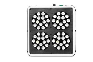 Quality Intelligent Red / Blue LED Grow Lamp Safe Output Low DB LED Indoor Grow Lights wholesale