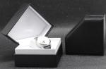 Luxury Mens Watch Gift Box , Plastic+ Black Leather Mens Watch Jewelry Box