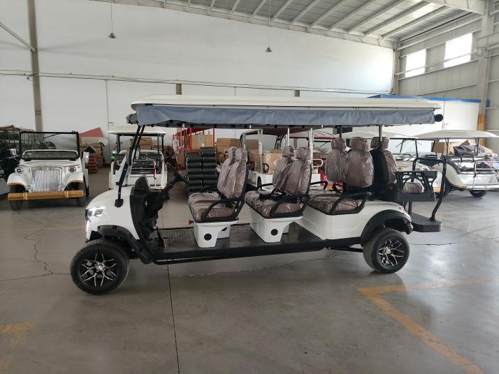 OEM 8 Seaters Golf Cart Off Road Customized White 72V 100Ah Lead Acid Battery