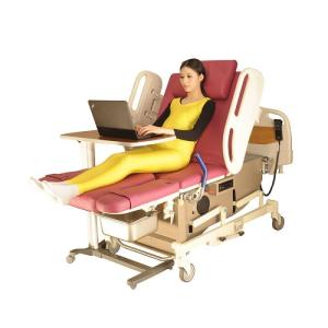 Quality Low Position LDR Bed wholesale