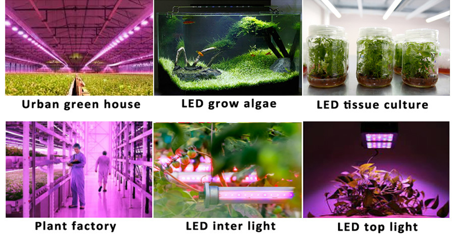 3030 SMD LED Grow Light 0.5W 1W Full Spectrum For Indoor Farming Plant