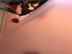4x8 Foot Large Acrylic Mirror Sheet