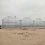 Agriculture Polycarbonate Sheet Greenhouse For Tomato Farming