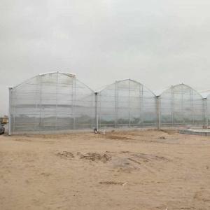 Quality Large Agricultural Polycarbonate Sheets Greenhouse Price From China wholesale