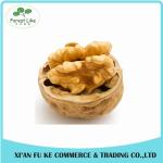 High Quality Walnut Kernel Extract Powder