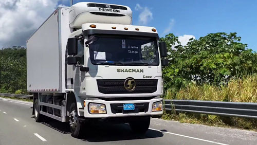 Shacman Diesel 300hp 330 Hp Discounted Sale At Super Low Prices L3000 4x2 New Cargo Truck