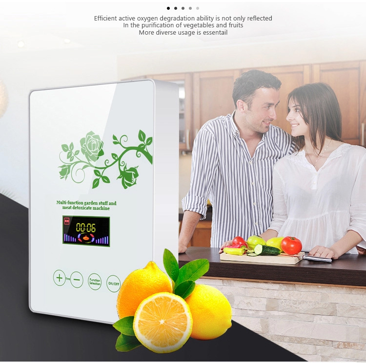 HOMEFISH Commercial Air Purifier Kitchen Use Active Oxygen Fruit And Vegetable Sterilizing Machine 400mg/H