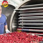 High Productivity Industrial Vacuum Freeze Drying Machine with 200kg per Batch