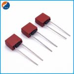 250V Miniature Cartridge Fuse