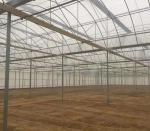 Seedling Cultivation Juxiang Hydroponic Farm Film Greenhouse with Customized