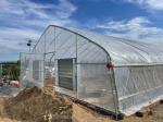 Cucumber Farming Small Agricultural Tunnel Greenhouse with Galvanized Steel