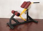 Customizable Ab Exercise Chair Plate Loaded 50kg Weight Soft Cushion