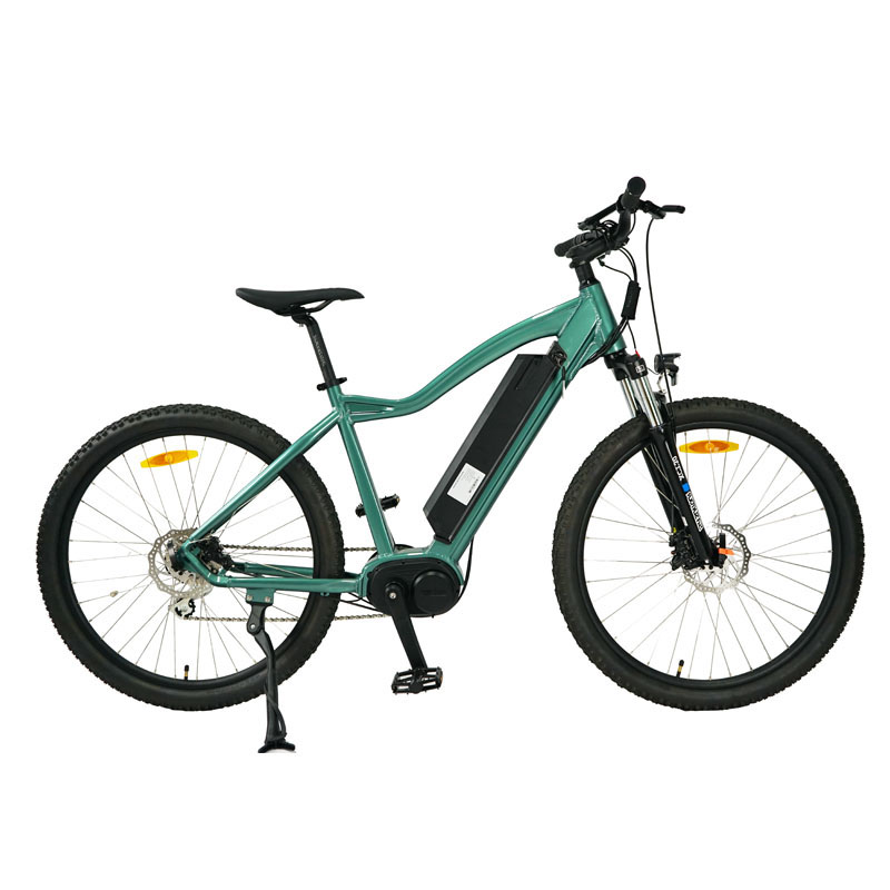 36V 9.6Ah Removable Battery 750W Brushless Motor 8 Speed Fat Tire E Bike for Adults