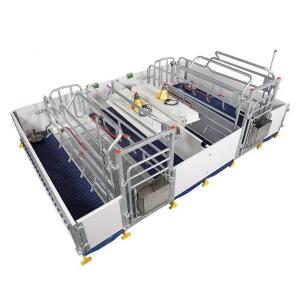 Quality Livestock Pig Farm Equipment Farrowing Bed For Sow wholesale