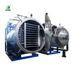 Vegetables Food Vacuum Freeze Dryer SS Freeze Drying Equipment