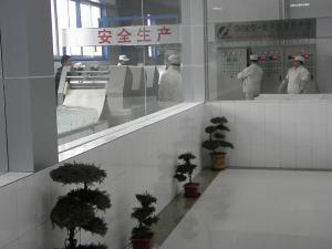 Quality Factory Sale Noodle Making Machine Equipment Industrial Instant Noodle Machine wholesale