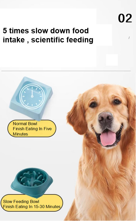 ODM Anti Choking Pet Feeders Dog Slow Food Bowl For Eating