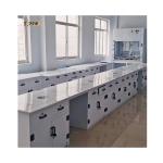 LED Lighting PP Fume Hood , Integrated Chemical Exhaust Hood Cupboard