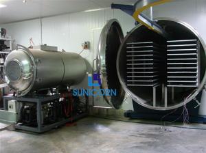 Quality High Safety Industrial Freeze Dried Fruit Machine 6600*2100*2100mm wholesale
