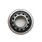Nylon Cage P0 RU42 RU85 Slewing Bearing For Robot Arm