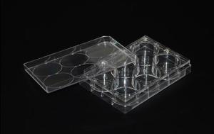Quality Laboratory Plastic Culture Plate Petri Plate Square Shape wholesale