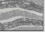 Chemical Resistant Quartz Bathroom Countertops Slab Low Maintenance 3200 X