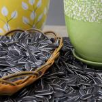 Wholesale of cheap raw materials for roasted sunflower seeds from China