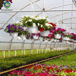 Quality OEM Agriculture Green House Commercial Glass Greenhouse With Humidity Regulation wholesale