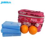 Non - Toxic Plastic Ice Packs White Colors For Food Storage MSDS Standard