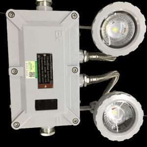 Quality 6w Led Explosion Proof Emergency Light Twin Head Wall Mounted wholesale