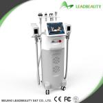 Five Big heads cryolipolysis slimming machine