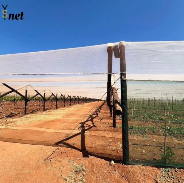 Cheap White Anti Hail Net Customized Garden Windbreak Netting 30gsm - 90gsm for sale