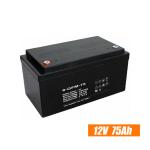 ISO14001 Dry Lead Acid Battery