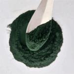 Best Selling Spirulina Organic Powder In Bulk Stock