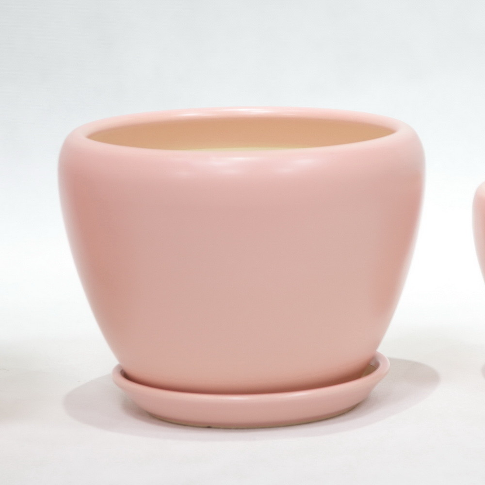 Affordable And Durable Ceramic Pots For Your Plants Custom Designs Available