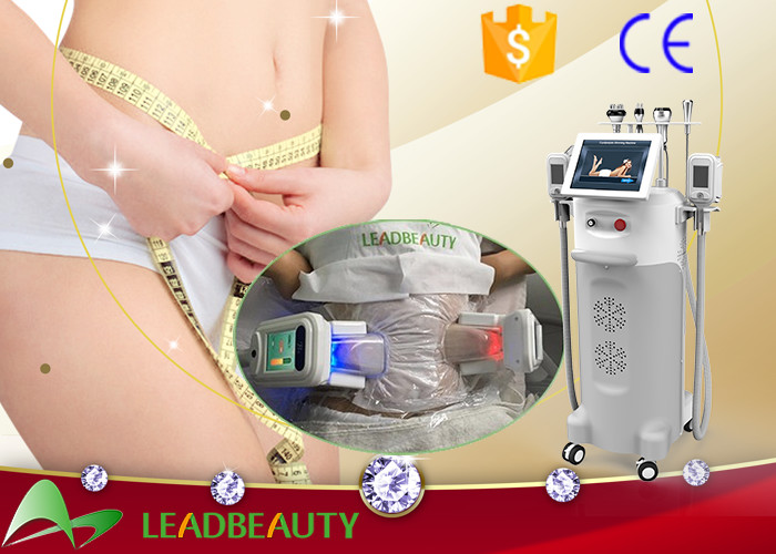 bottom price vertical cryolipolysis far freeze slimming machine /best effective cavitacion rf
