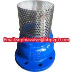 JIS ANSI 125LB cast iron flanged foot valve