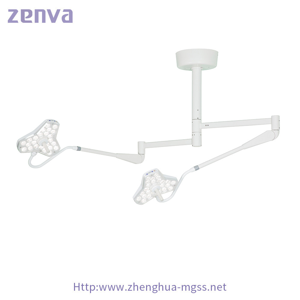 Double Dome Ceiling Mounted LED Surgical Exam Lamp For Surgical Dental Vet Use