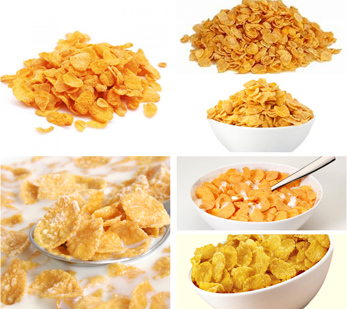Dog Treats Corn Puff Production Line Cat Pet Snack Production Machine
