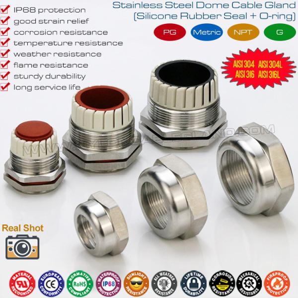 Cheap IP68 Hermetic Cable Glands Sealing Connectors Stainless Steel AISI 304 & AISI 316 with PG or Metric Thread for sale