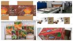 40000 KG High Definition Flexo Printing Slotting Rotary Die Cutting Machine for