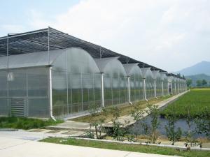 Quality Bolting Connection Polycarbonate Panel Greenhouse , Durable Dome Shaped Greenhouse wholesale