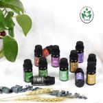 Characteristic Flavor Natural Essential Oil Gift Pack 100% Pure