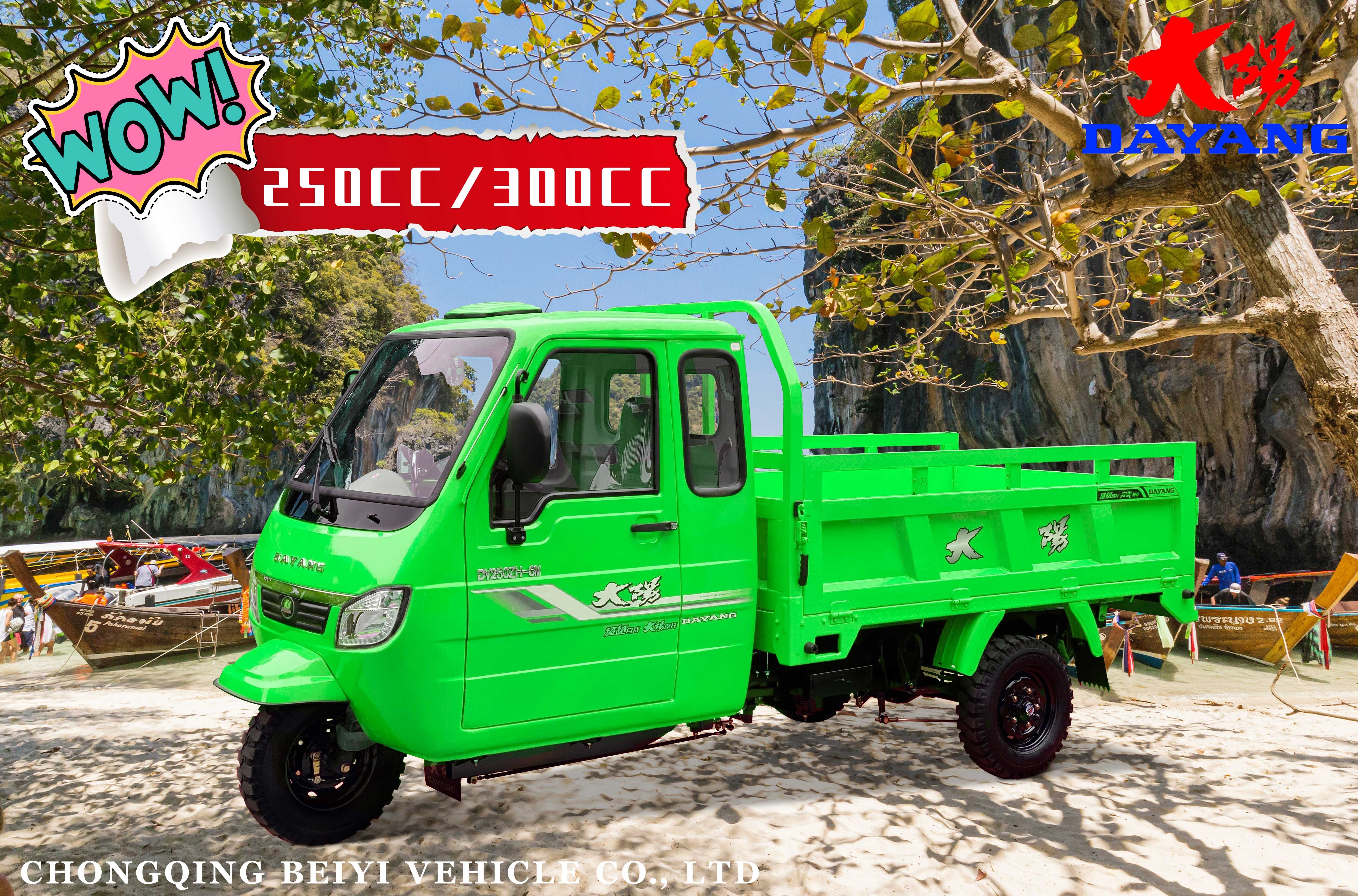 Easy Maneuverability Gasoline Motorized Tricycle for Adults 1 Passenger Cargo Tricycle