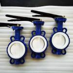 Standard wafer type butterfly valve Pn16 Pressure Rating API 598 Testing