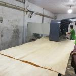 High-End Engineered Wood Veneer Silver Arrow SI.AW-X8133 Three-Dimensional Light