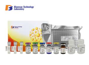 Quality Thymidine Kinase 1 Soluble ELISA Sandwich Assay Kit 2 Hours Assay Length wholesale