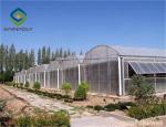 Impact Resistant 12m Polycarbonate Greenhouse For Farm