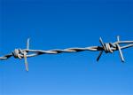 BWG12 BWG14 Fence Galvanized Barb Wire Roll